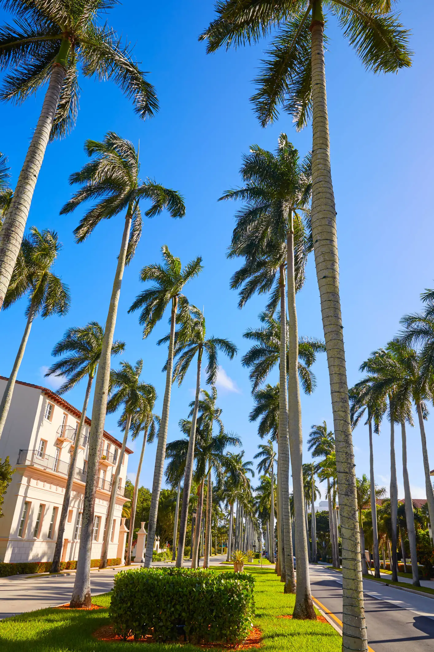 Palm Beach Home Inspections 2